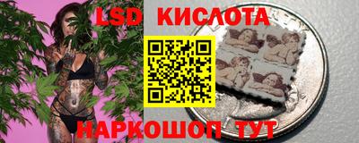 гидра Новокубанск