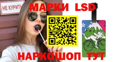 mdpv Новодвинск