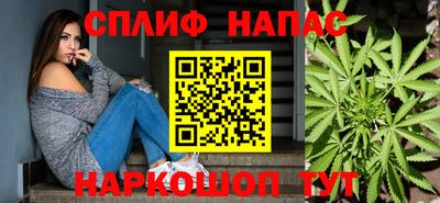 индика Новозыбков