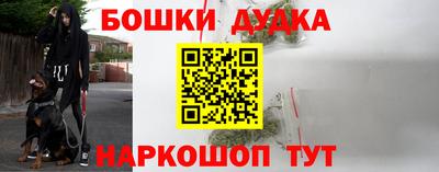 индика Новозыбков