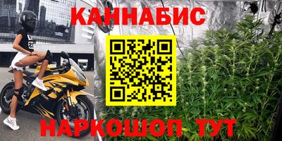 индика Новозыбков