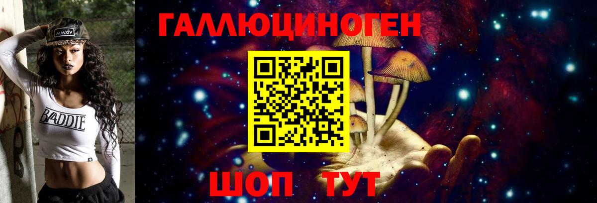 где продают наркотики  Галлюциногенные грибы Psilocybine cubensis  Вход с VPN  Унеча 